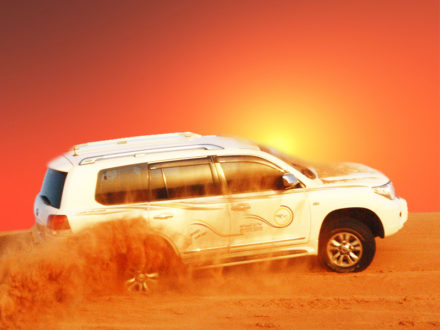 evening desert safari